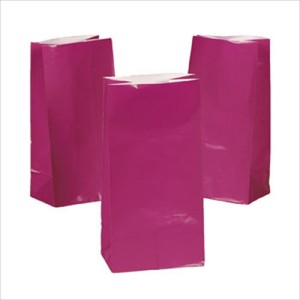 RTD-2318 : Fuchsia Hot Pink Paper Treat Bags at MovieNightParty.com