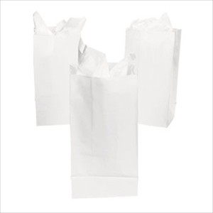 RTD-2321 : White Paper Treat Bags at MovieNightParty.com