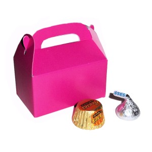 RTD-2407 : Mini Hot Pink Treat Box for Party Favors at MovieNightParty.com