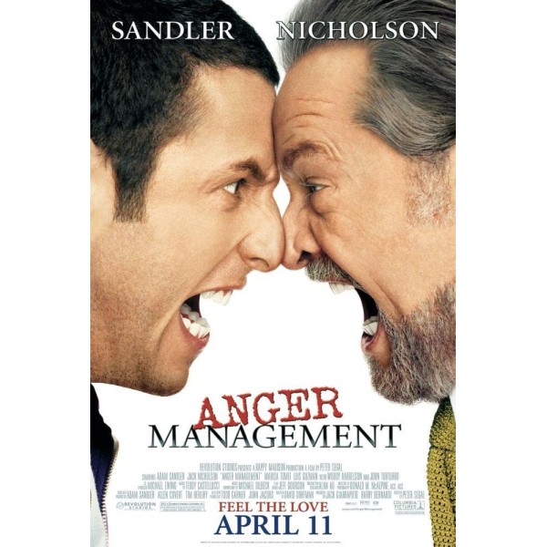 Anger Management (DVD, 2003) Anger Management (DVD, 2003)