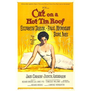 TYD-1077 : Cat on a Hot Tin Roof (VHS, 1958) at MovieNightParty.com