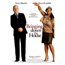 Bringing Down the House (DVD, 2003)