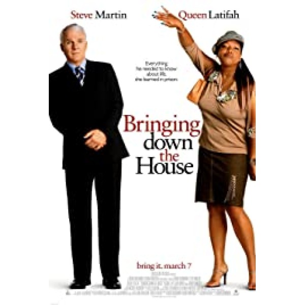 Bringing Down the House (DVD, 2003) Bringing Down the House (DVD, 2003)